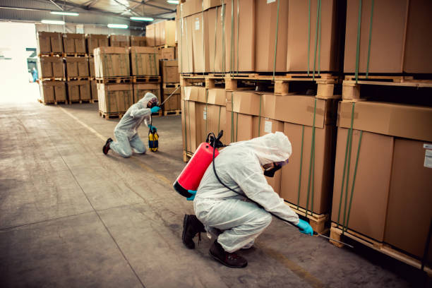 Best Mosquito Control Services  in Union City, MI