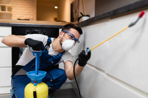 Reliable Union City, MI Pest Control Solutions