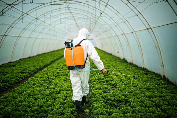 Pest Control for Restaurants in Union City, MI