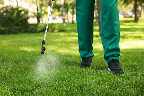 Best Best Pest Control Companies  in Union City, MI