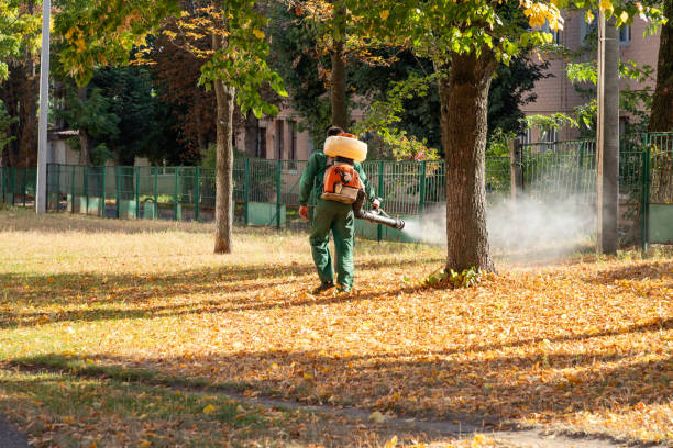 Best Bird Control  in Union City, MI