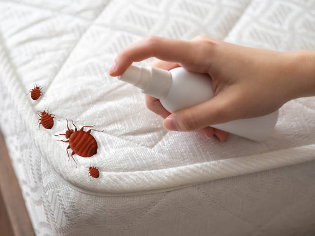 Best Pest Prevention Services  in Union City, MI