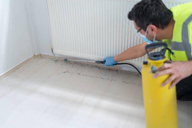 Best Rat Extermination Near Me  in Union City, MI
