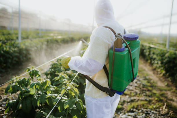 Best Wasp Removal Services  in Union City, MI